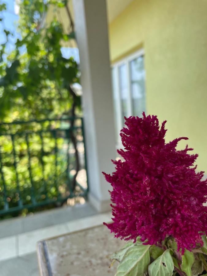 Apartments Mornar Poljica  Εξωτερικό φωτογραφία